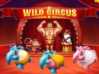 Wild Circus screenshot